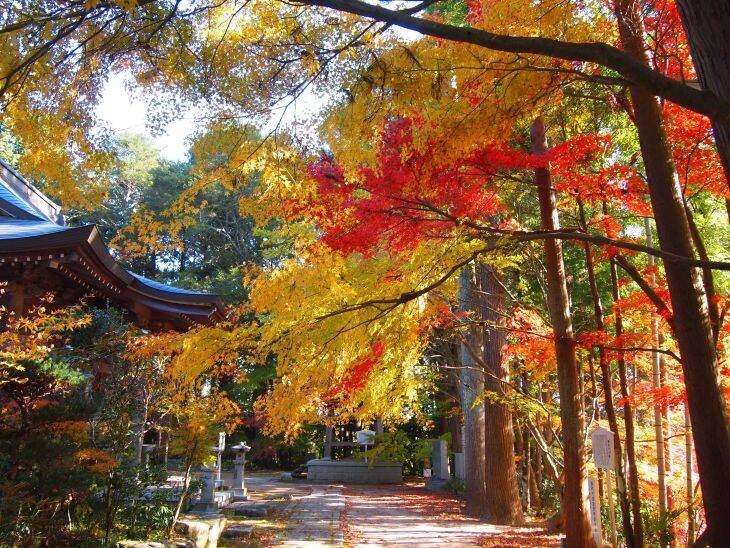 【紅葉と温泉スポット】岡山の紅葉の名所めぐりと温泉を楽しむ秋のお出かけ9選