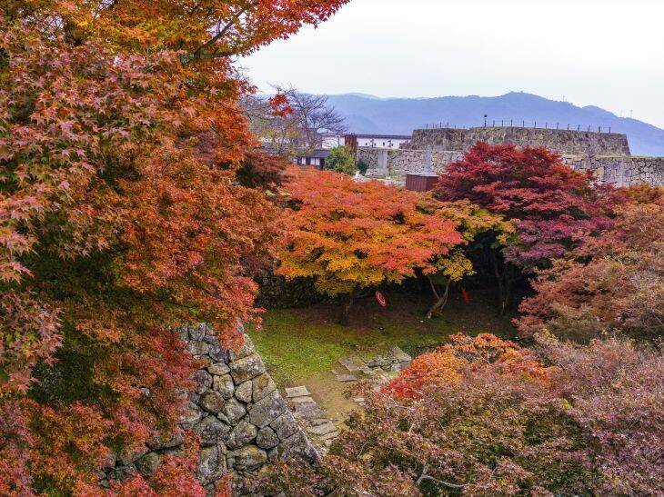 【紅葉と温泉スポット】岡山の紅葉の名所めぐりと温泉を楽しむ秋のお出かけ9選