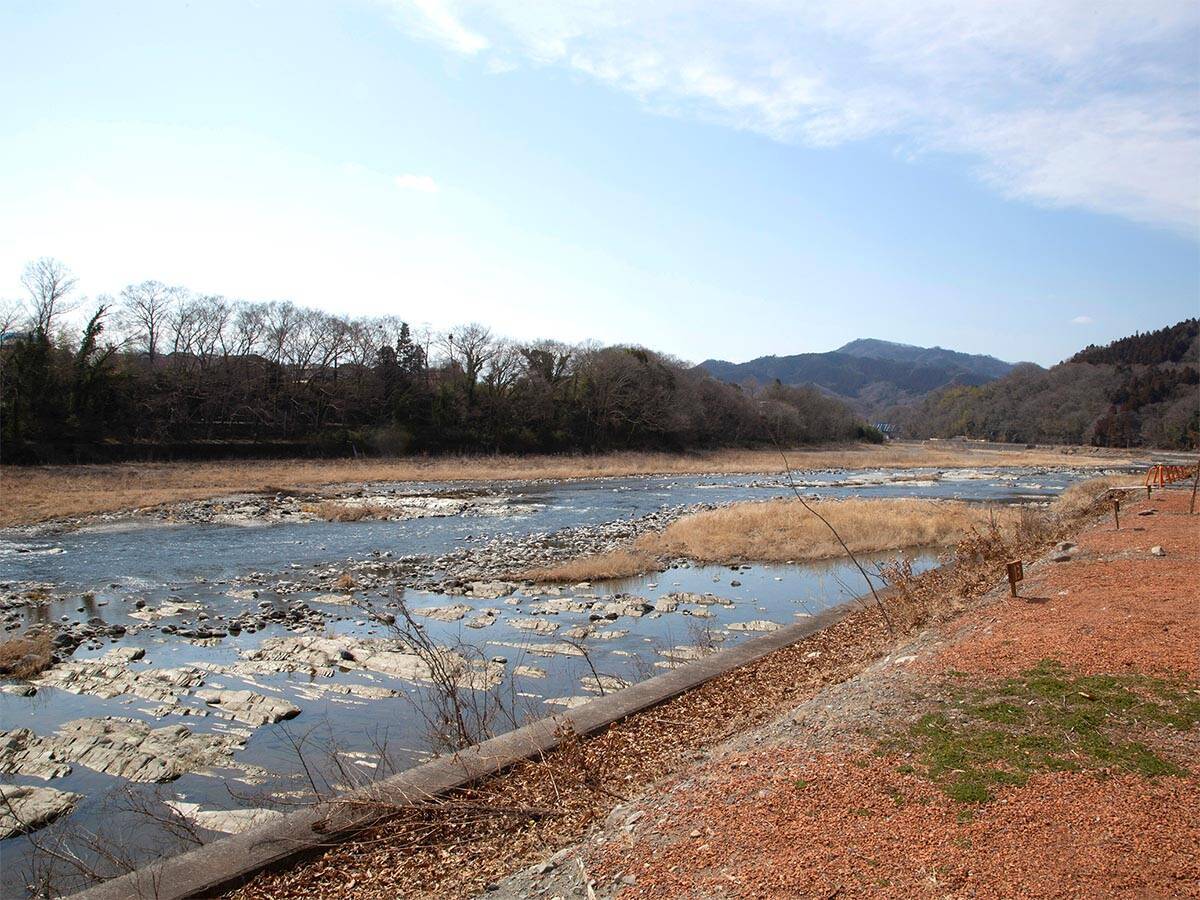 アウトドア欲が爆上がり！ 一度使うと手放せなくなる超優秀「キャンプギア」3選