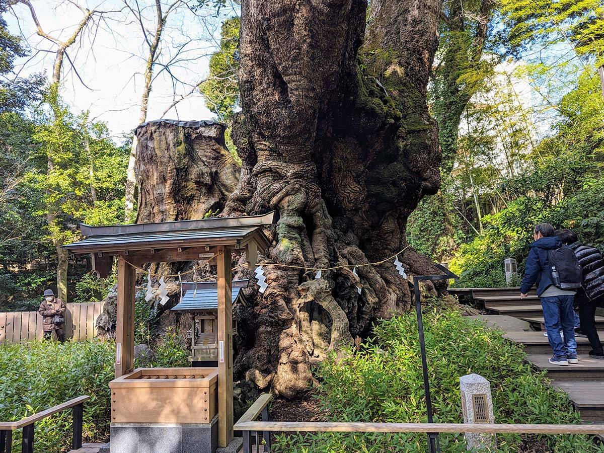 【週末旅グルメ】熱海の一日ひとり旅で訪れたい！ 海鮮からスイーツまで地元民イチオシの4軒