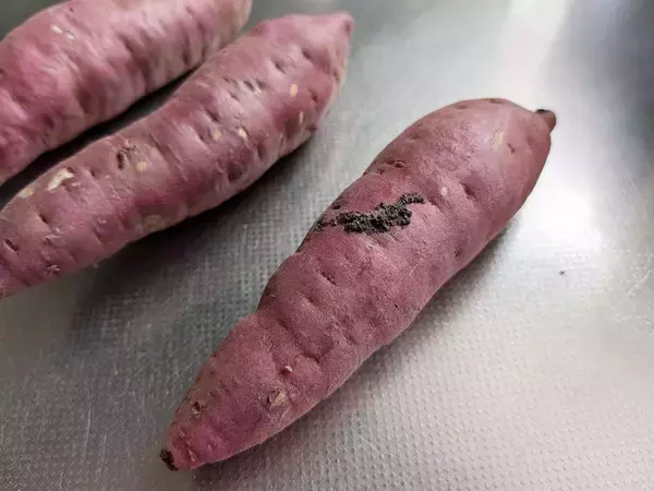 「『サミットストア』の青果担当者に聞いた！旬の野菜＆果物のおいしい食べ方＆保存法とは」の画像