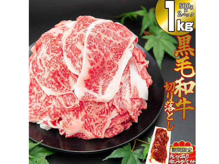 1万円で8kgの肉が届く！ ふるさと納税でもらえる「お肉」の量ランキングBEST5 (2022年6月22日) - エキサイトニュース