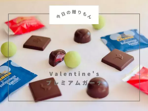 【今日の贈りもん】身近だけど特別なチョコ。V.T限定「プレミアムガーナ」がすごく美味