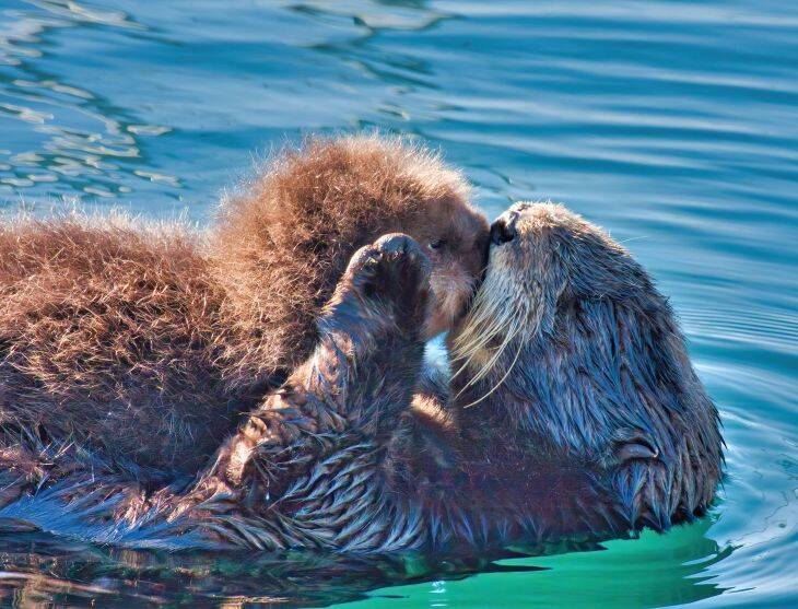 【ふるさと納税】1位の北海道グルメが池袋に集結！「推しは北海道」イベントで返礼品を見つけよう