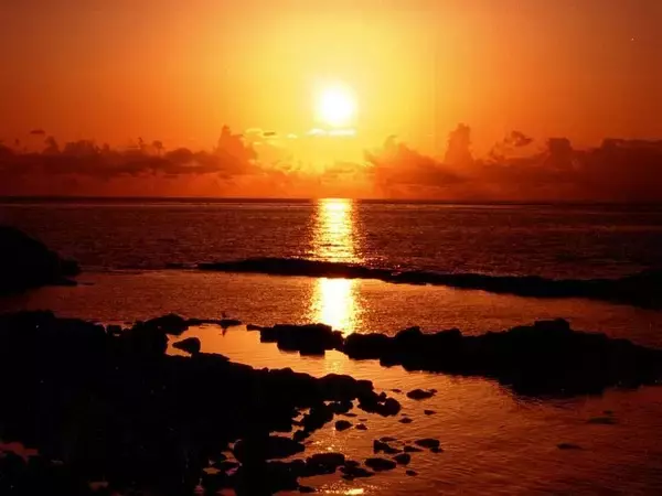 「【ふるさと納税】1位の北海道グルメが池袋に集結！「推しは北海道」イベントで返礼品を見つけよう」の画像