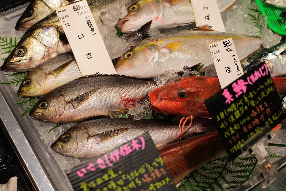 サミットの鮮魚担当が教える！今が旬「ぶり」の絶品レシピ2選