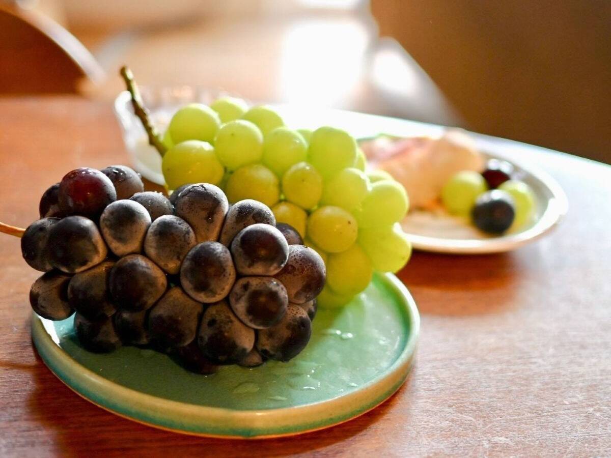 くだもの王国おかやまの「ぶどう」が出荷最盛期！ おいしさの秘密とベストな保存方法とは