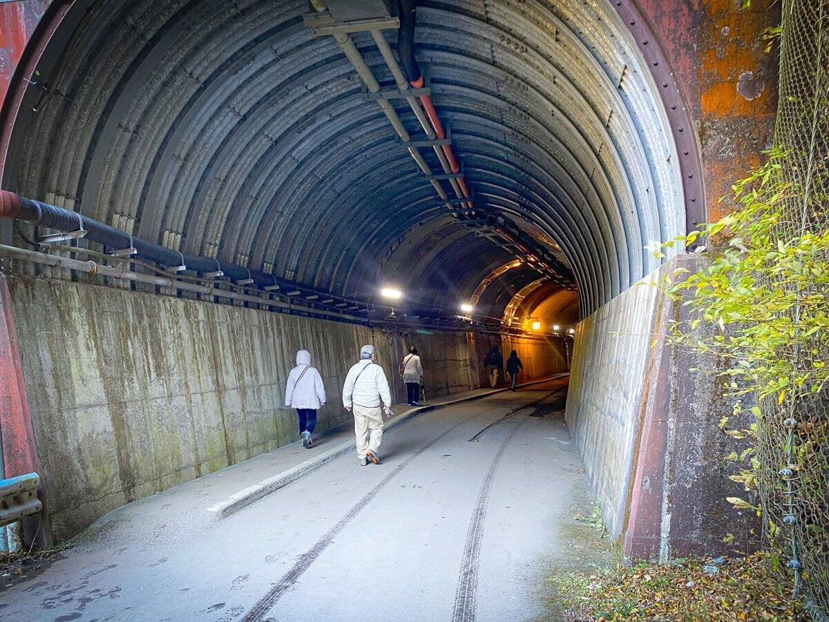 紅葉シーズン真っ盛りの“夢の吊り橋”へ。絶景と温泉、山の幸をめぐる静岡・川根本町さんぽ