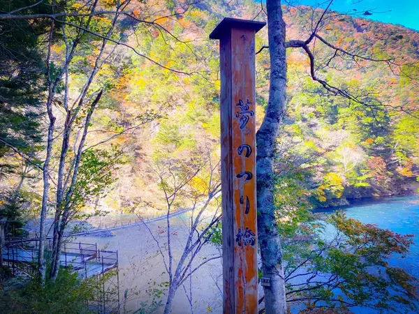 「紅葉シーズン真っ盛りの“夢の吊り橋”へ。絶景と温泉、山の幸をめぐる静岡・川根本町さんぽ」の画像