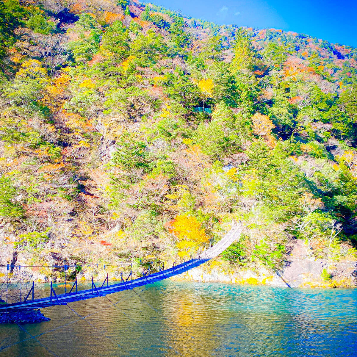 紅葉シーズン真っ盛りの“夢の吊り橋”へ。絶景と温泉、山の幸をめぐる静岡・川根本町さんぽ
