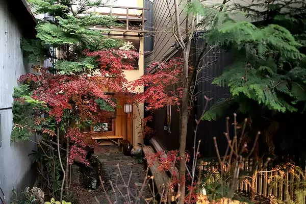 「【京都グルメ】わざわざ食べに行きたい冬の名物！京寿司の老舗『いづ重』の蒸し寿司」の画像