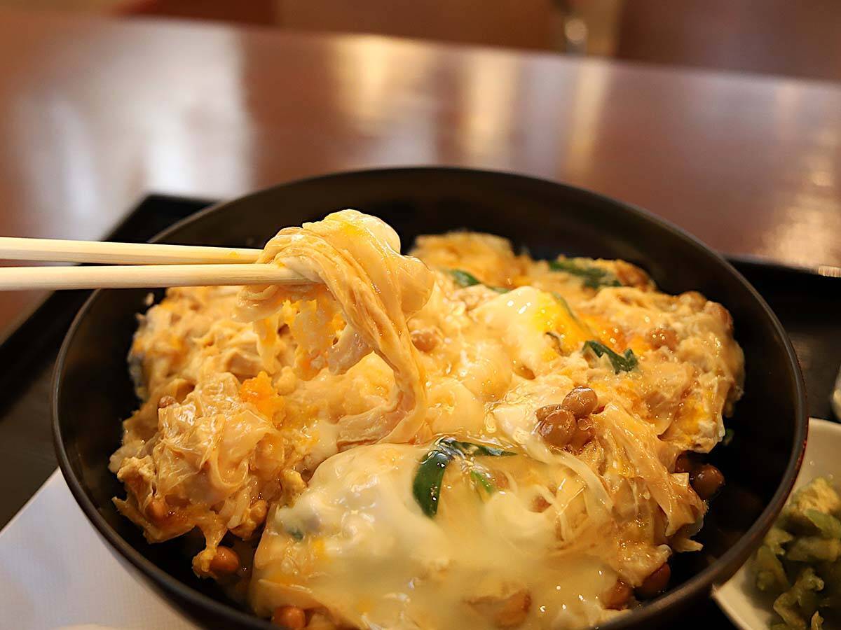 【京都グルメ旅】京都でしか味わえない不思議な卵とじ丼「湯葉納豆丼」の魅力とは？