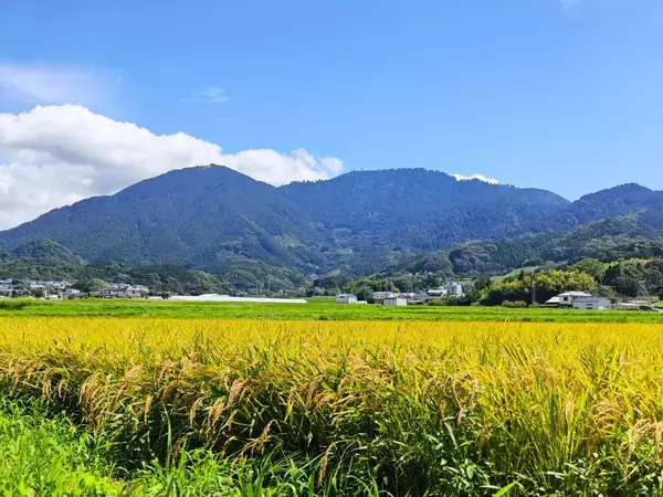 「創業80余年。福岡・篠栗の和菓子店『村嶋饅頭店』が地元で愛され続ける理由」の画像