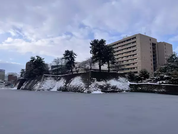 「【フーテンの寅みやげ】BEAMSディレクターが見つけた福井・敦賀「氣比神宮」の桃太郎」の画像