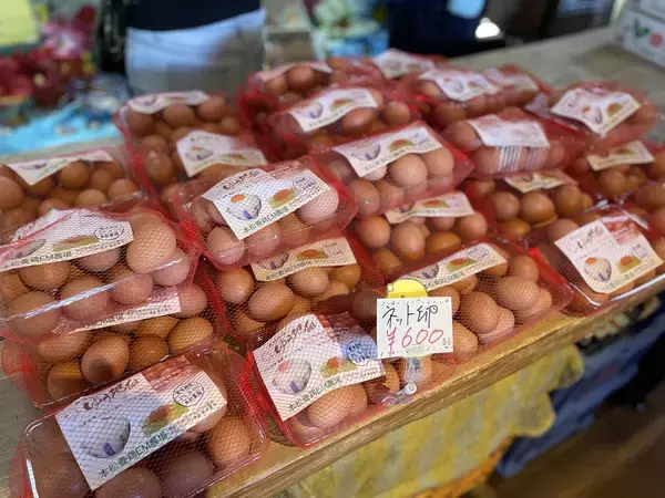 「【福岡スイーツ】行列必至のお菓子の名店『たまごハウス』へ。たまご農家が作るずっしり濃厚なシュークリームは唯一無二のおいしさ」の画像