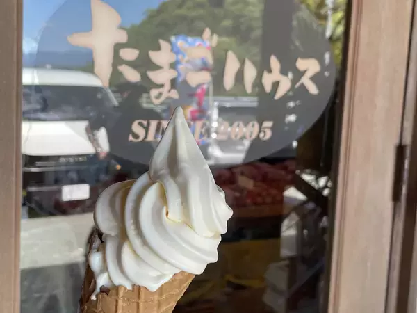 「【福岡スイーツ】行列必至のお菓子の名店『たまごハウス』へ。たまご農家が作るずっしり濃厚なシュークリームは唯一無二のおいしさ」の画像