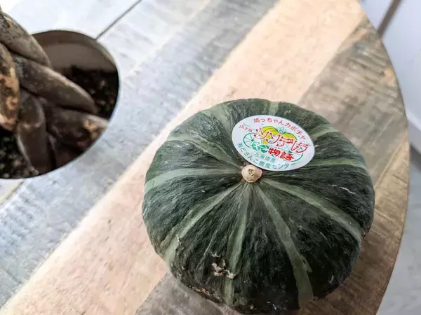 「【爆速レシピ】秋のおいしい“かぼちゃ”の選び方＆レンチンで作る「かぼちゃの醤油チーズ」」の画像