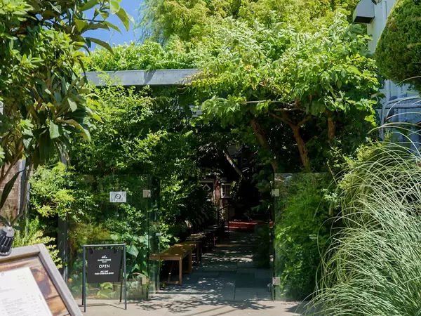 「鎌倉モーニングは癒し。GARDEN HOUSE Kamakuraで味わう王道パンケーキの朝食じかん」の画像