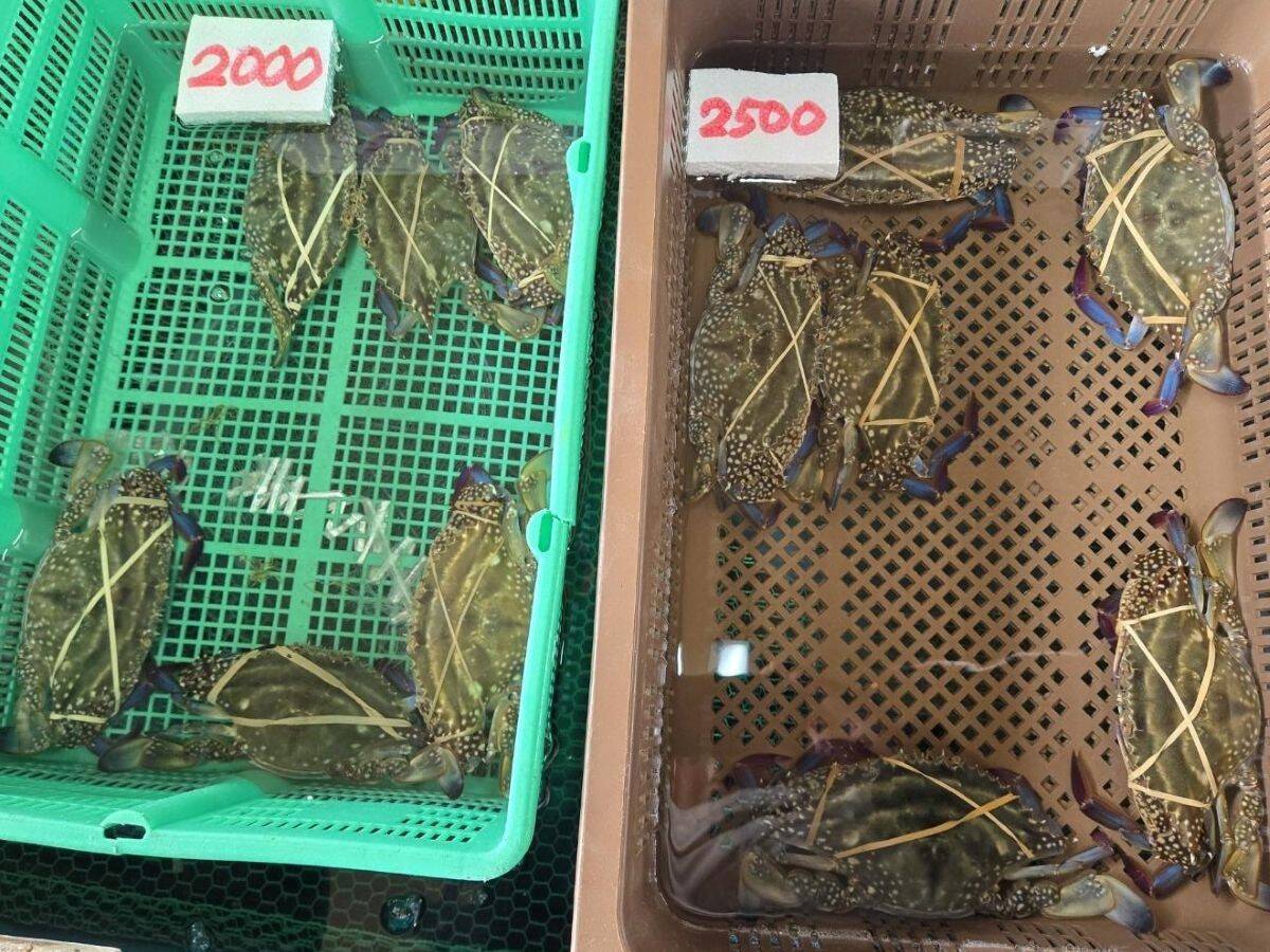 地元が愛する濃厚な「牡蠣」。福岡県志免町の老舗『しめ海産』──孫が継ぐ、牡蠣と季節の恵み