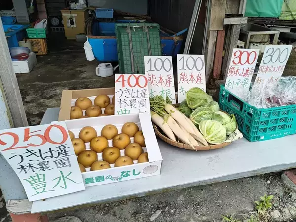 「地元が愛する濃厚な「牡蠣」。福岡県志免町の老舗『しめ海産』──孫が継ぐ、牡蠣と季節の恵み」の画像