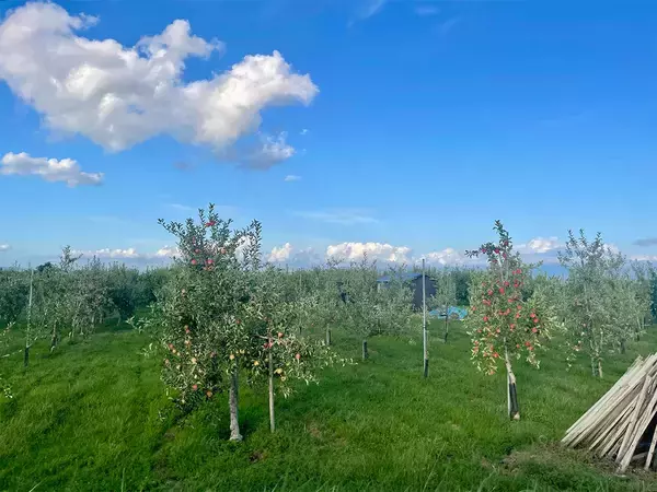 「【フーテンの寅みやげ】BEAMSディレクターが推す、青森の木工品「BUNACO」の魅力とは」の画像