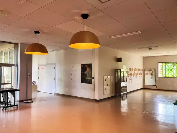 「【フーテンの寅みやげ】BEAMSディレクターが推す、青森の木工品「BUNACO」の魅力とは」の画像