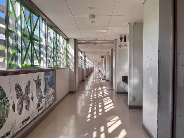 「【フーテンの寅みやげ】BEAMSディレクターが推す、青森の木工品「BUNACO」の魅力とは」の画像