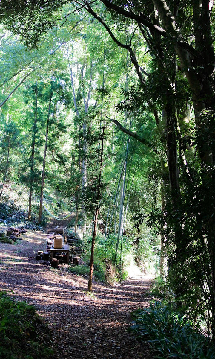 【おすすめ日帰り旅】自然と老舗グルメを巡る相模湖周辺の1日観光コース
