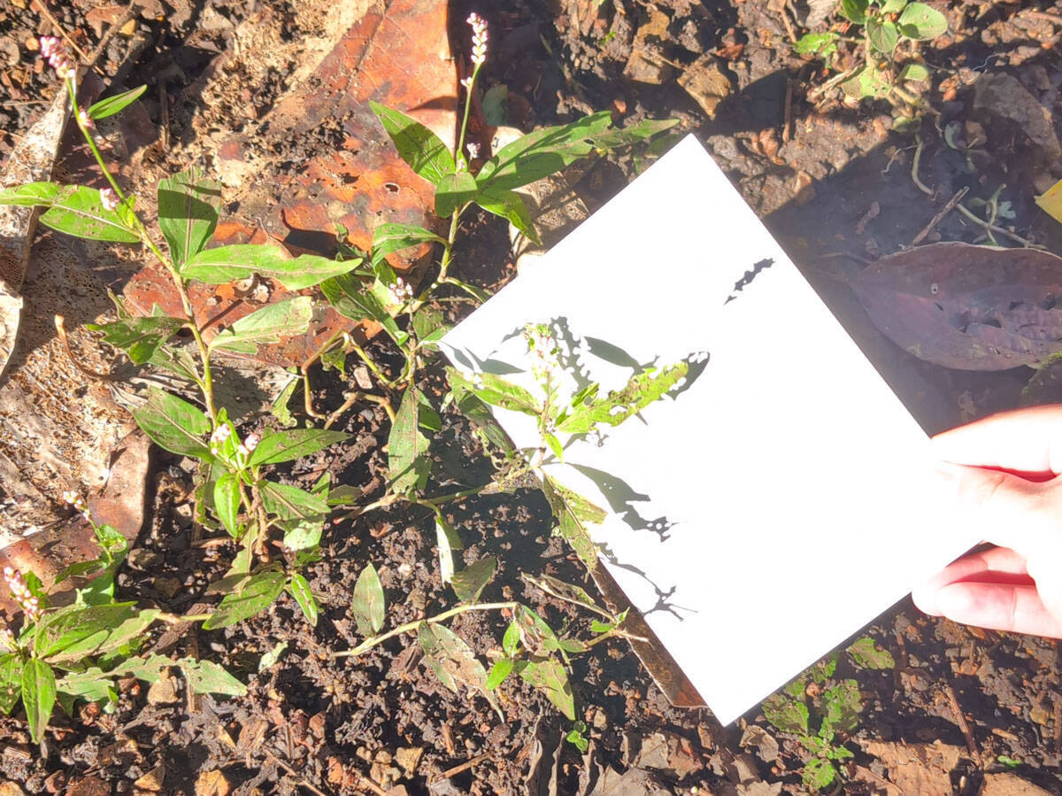 【おすすめ日帰り旅】自然と老舗グルメを巡る相模湖周辺の1日観光コース