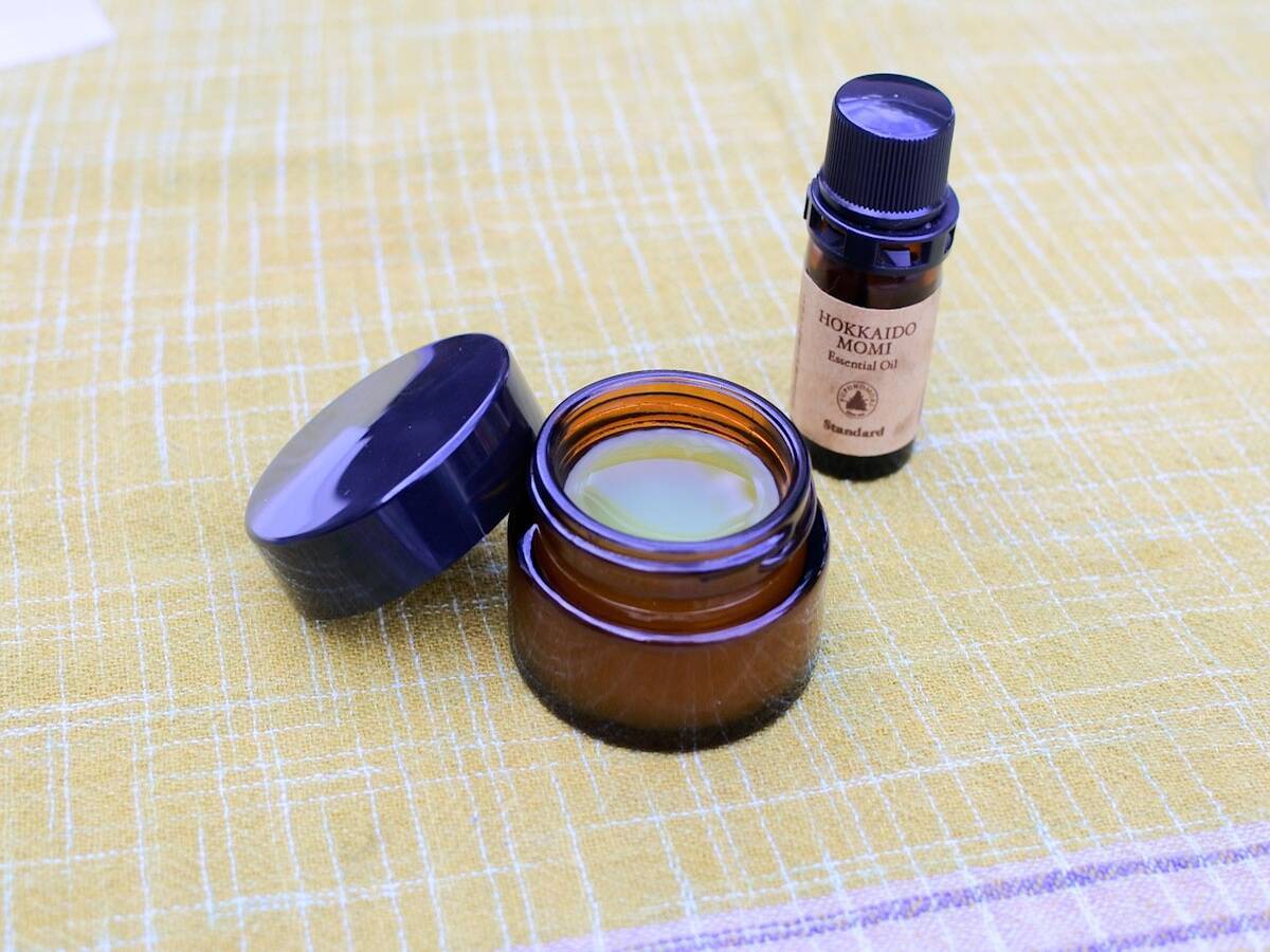 【おすすめ日帰り旅】自然と老舗グルメを巡る相模湖周辺の1日観光コース