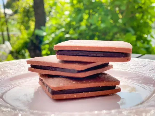 「【お取り寄せスイーツ】罪悪感ゼロで大満足!生はちみつ専門店のショコラサンド「リープ」」の画像