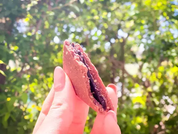 「【お取り寄せスイーツ】罪悪感ゼロで大満足!生はちみつ専門店のショコラサンド「リープ」」の画像