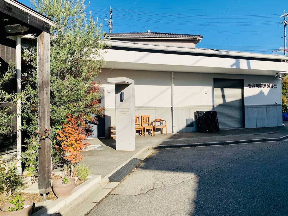 猫柄のワインが印象的！ 今訪れたい信州ワインの注目ワイナリー『坂城葡萄酒醸造』の魅力とは