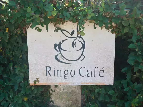 「【沖縄カフェ】知る人ぞ知る、ときめきのフランス菓子店『りんごカフェ』の「アップルパイ」」の画像