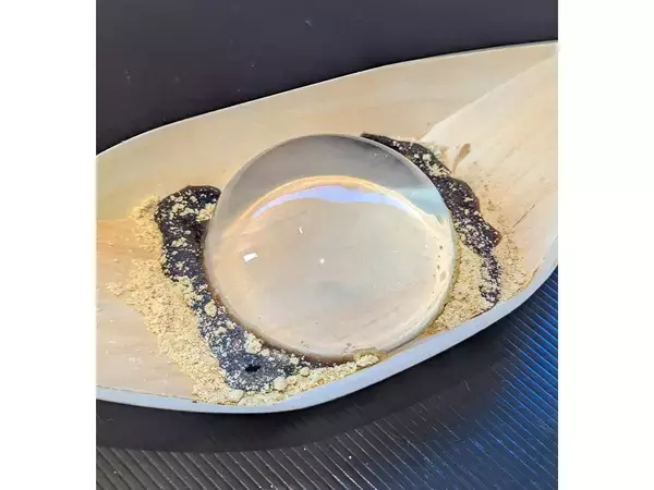 「食の専門家たちが選ぶ、2025年に食べて感動したリピート必至の逸品グルメ」の画像