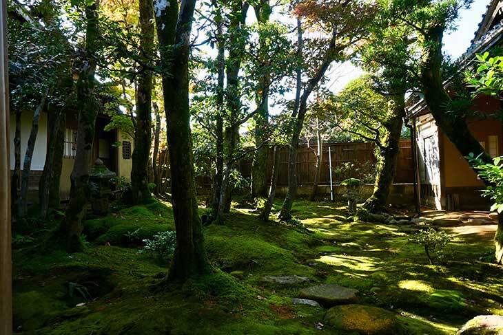 【加賀・小松】庭園、石蔵…有形文化財の酒蔵見学が新しい！「日本酒好きになるエンターテイメントな場所に」／東酒造