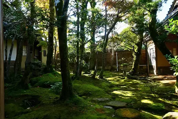 「【加賀・小松】庭園、石蔵…有形文化財の酒蔵見学が新しい！「日本酒好きになるエンターテイメントな場所に」／東酒造」の画像