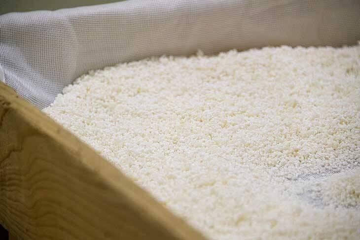 【加賀・小松】庭園、石蔵…有形文化財の酒蔵見学が新しい！「日本酒好きになるエンターテイメントな場所に」／東酒造