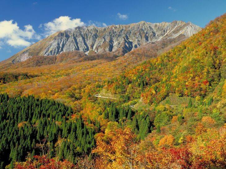 冬の味覚“松葉ガニ”解禁！ 蟹と温泉、絶景を大満喫できる「鳥取旅スポット」5選