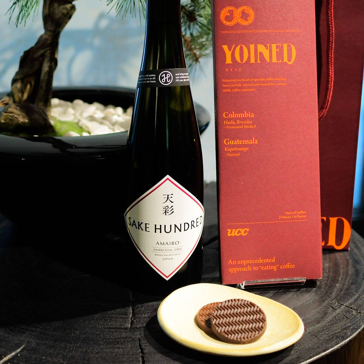 食べるコーヒー！？ UCCの「YOINED」で感じるコーヒーの余韻と香りの新世界