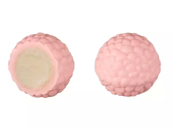 「バレンタインに！ 創業100周年の『ゴディバ』世界のスターシェフ5名で彩るトリュフコレクション」の画像