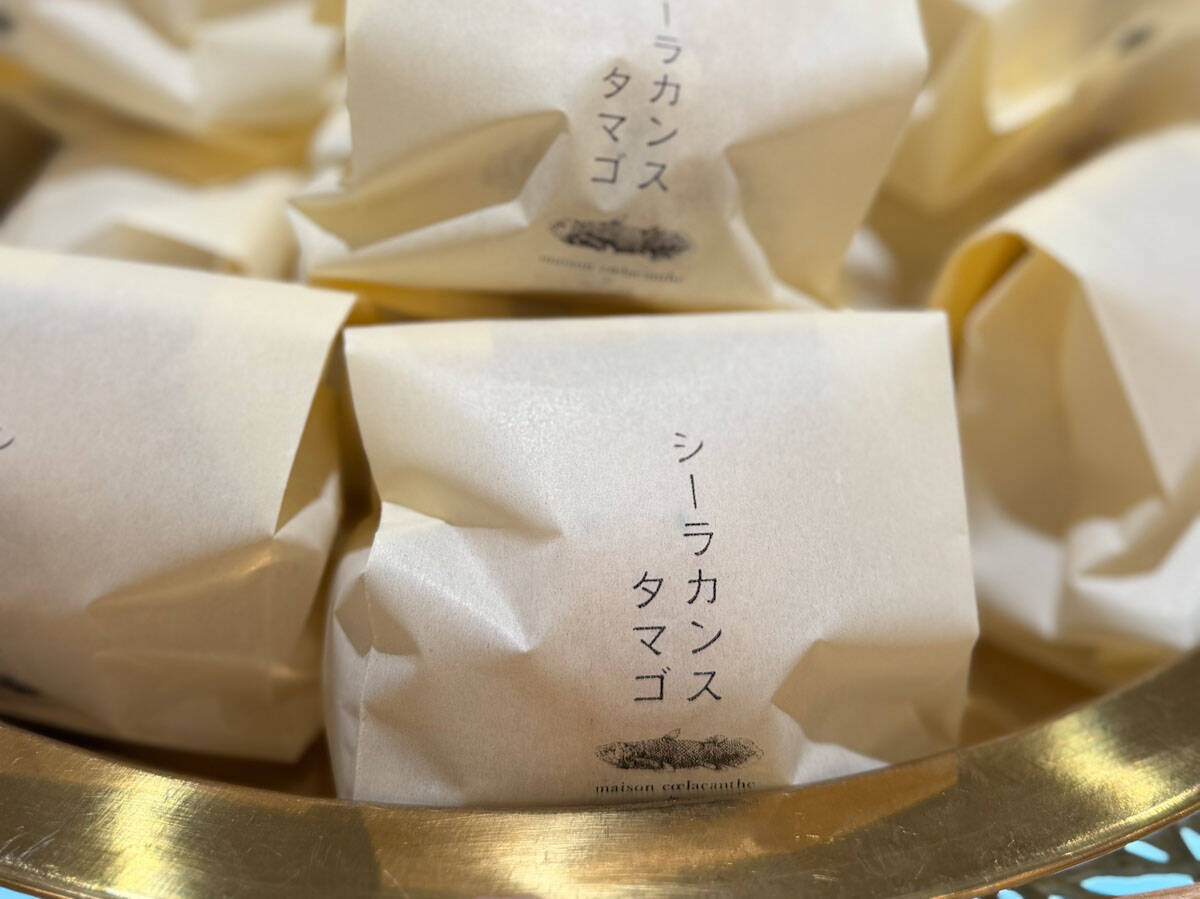 【絶品土産】仙台の人が愛する「シーラカンスモナカ」ってどんな銘菓？