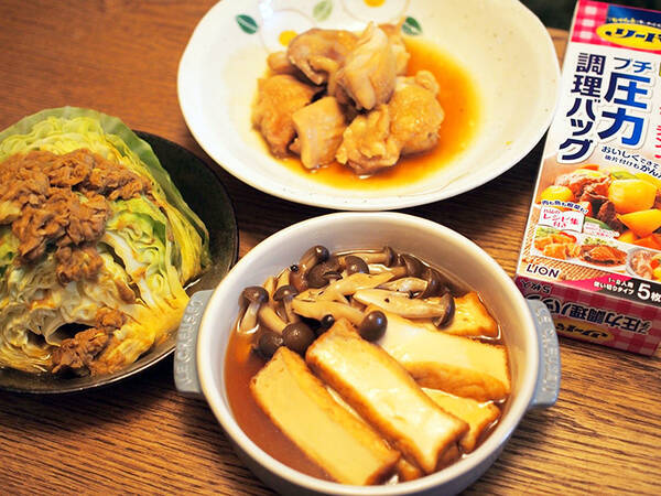 味が染み込む 究極の時短調理が実現する リード プチ圧力調理バッグ が超便利 18年3月9日 エキサイトニュース