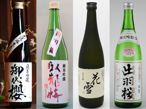 花見で飲みたいお酒はこれ！ 日本酒イベント「和酒フェス」で飲みたい日本酒5選