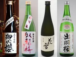 今年もお花見シーズン到来 二日酔いしないために お酒の適量と酔いが醒めるまでの時間を知っておこう 14年3月18日 エキサイトニュース