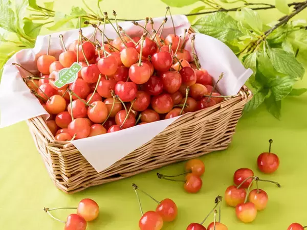 佐藤錦が食べ放題！ スイーツパラダイス全店で「さくらんぼ食べ放題」を開催中