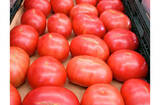 「テレビでも話題！ 『井出トマト農園』のトマトが美味しすぎる理由とは？」の画像7