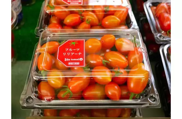 「テレビでも話題！ 『井出トマト農園』のトマトが美味しすぎる理由とは？」の画像