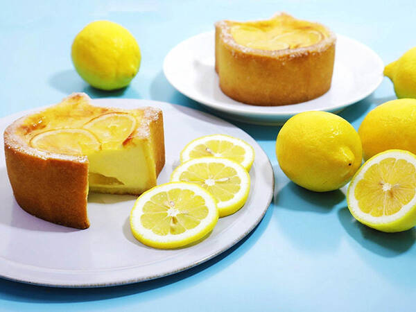 可愛すぎて話題の ねこねこチーズケーキ に瀬戸内レモンを使った夏限定ケーキが登場 年7月12日 エキサイトニュース