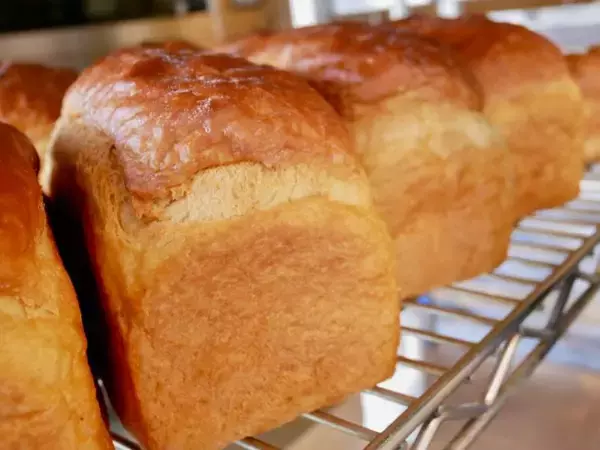 「鎌倉に行ったら絶対買い！ 行列の食パン店『Bread Code』の20斤限定「星の井食パン」が美味しすぎる理由」の画像